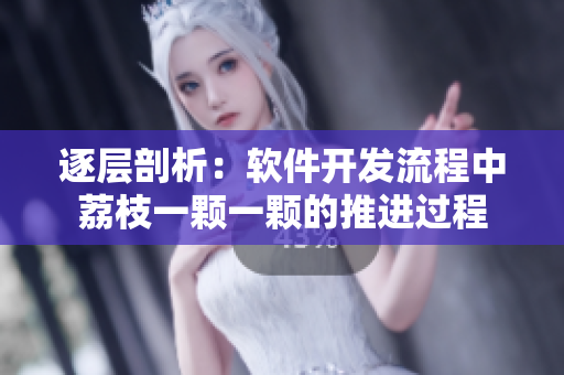 逐层剖析：软件开发流程中荔枝一颗一颗的推进过程