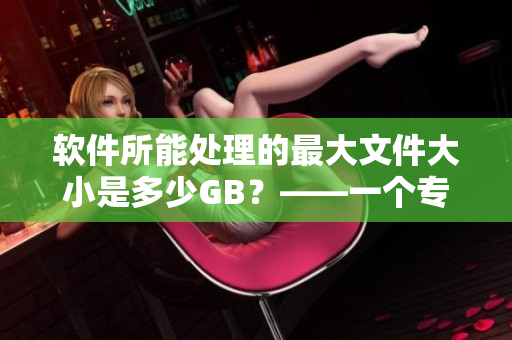 软件所能处理的最大文件大小是多少GB？——一个专业编辑的疑问