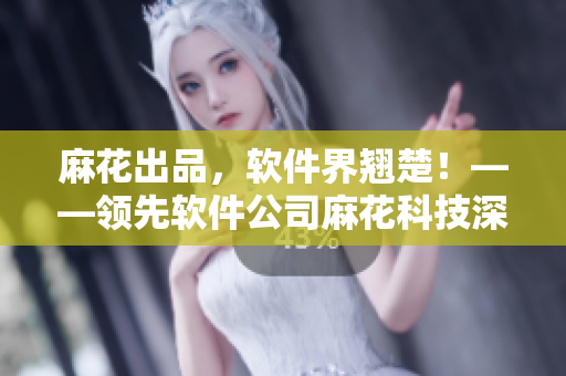 麻花出品，软件界翘楚！——领先软件公司麻花科技深度揭秘