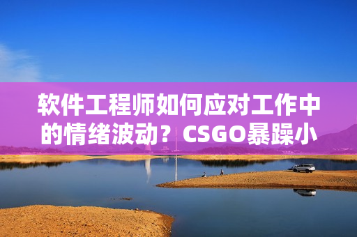 软件工程师如何应对工作中的情绪波动？CSGO暴躁小阿姨的应对经验告诉你