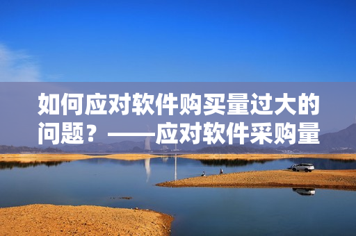 如何应对软件购买量过大的问题？——应对软件采购量超标的解决方案