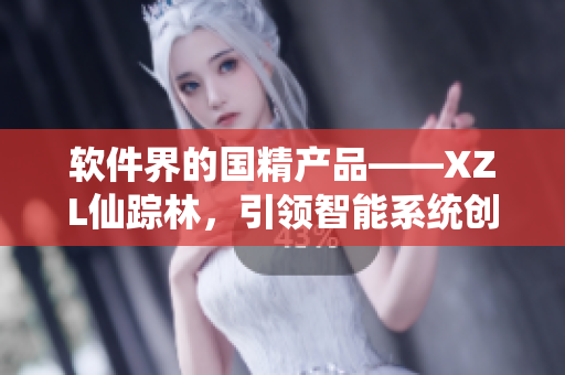 软件界的国精产品——XZL仙踪林，引领智能系统创新
