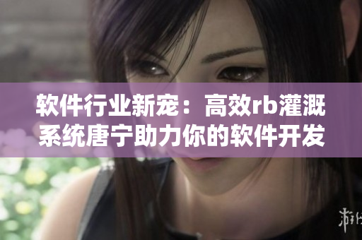软件行业新宠：高效rb灌溉系统唐宁助力你的软件开发，提升工作效率！