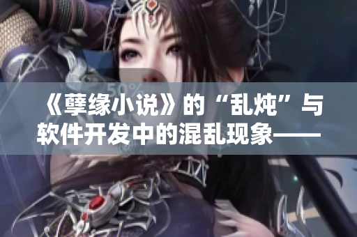《孽缘小说》的“乱炖”与软件开发中的混乱现象——一个令人担忧的相似性