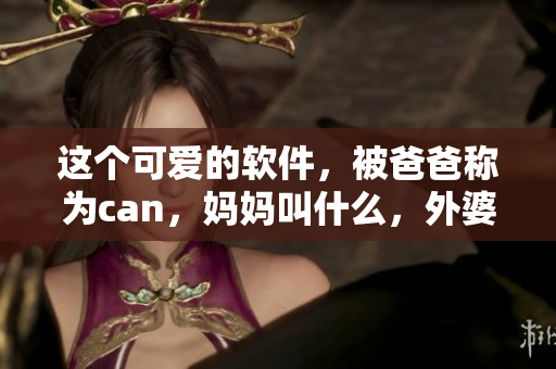 这个可爱的软件，被爸爸称为can，妈妈叫什么，外婆也有称谓！