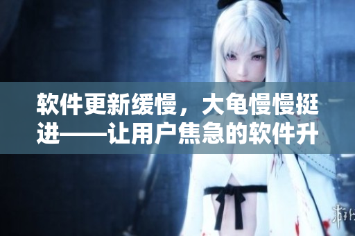 软件更新缓慢，大龟慢慢挺进——让用户焦急的软件升级问题