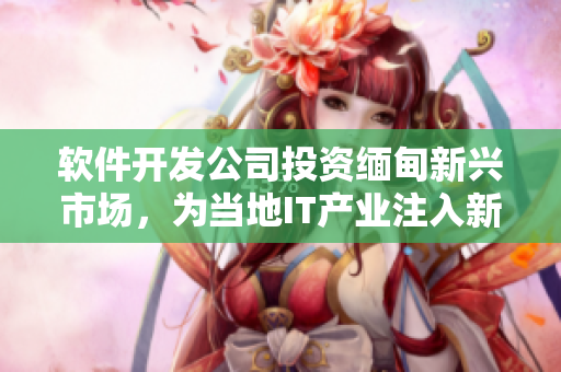 软件开发公司投资缅甸新兴市场，为当地IT产业注入新活力