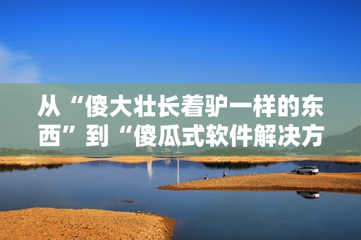 从“傻大壮长着驴一样的东西”到“傻瓜式软件解决方案”的转变