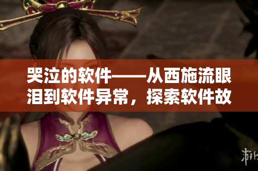 哭泣的软件——从西施流眼泪到软件异常，探索软件故障的原因与处理方法