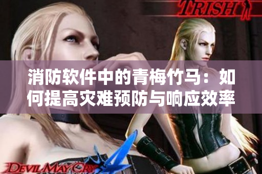 消防软件中的青梅竹马：如何提高灾难预防与响应效率？