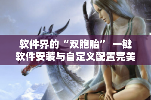 软件界的“双胞胎” 一键软件安装与自定义配置完美结合