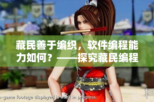 藏民善于编织，软件编程能力如何？——探究藏民编程技能的现状