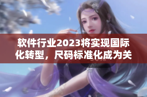 软件行业2023将实现国际化转型，尺码标准化成为关键词