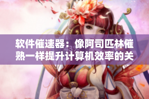 软件催速器：像阿司匹林催熟一样提升计算机效率的关键