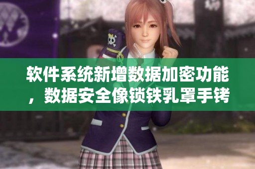 软件系统新增数据加密功能，数据安全像锁铁乳罩手铐脚镣项圈锁一样稳固