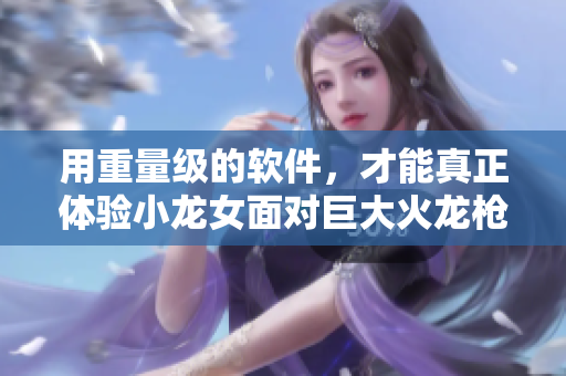 用重量级的软件，才能真正体验小龙女面对巨大火龙枪的感觉！