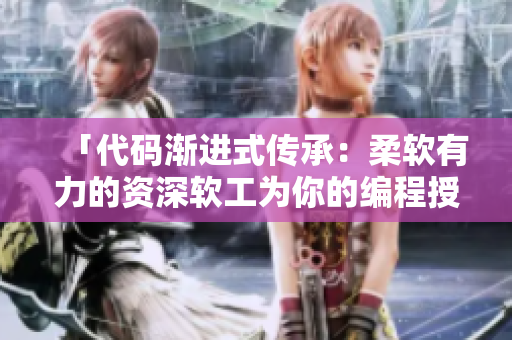 「代码渐进式传承：柔软有力的资深软工为你的编程授道」