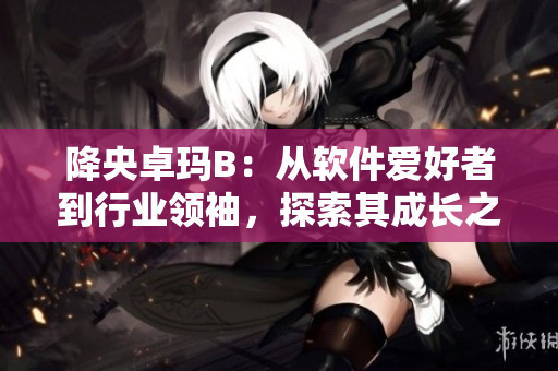 降央卓玛B：从软件爱好者到行业领袖，探索其成长之路