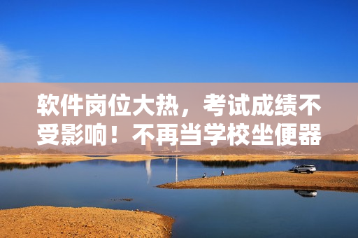 软件岗位大热，考试成绩不受影响！不再当学校坐便器