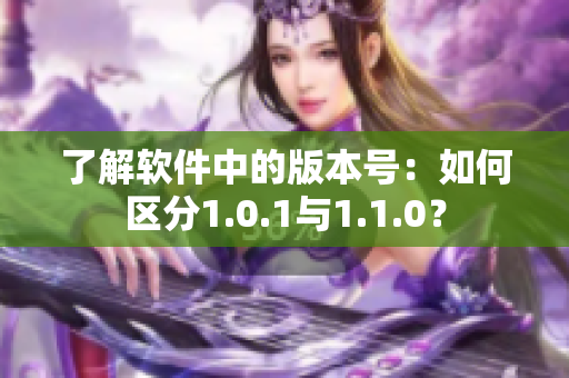 了解软件中的版本号：如何区分1.0.1与1.1.0？