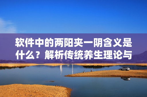软件中的两阳夹一阴含义是什么？解析传统养生理论与软件开发的契合