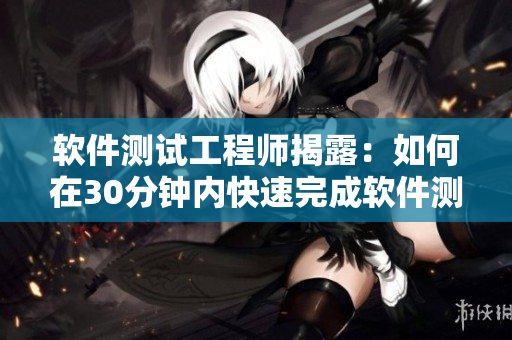 软件测试工程师揭露：如何在30分钟内快速完成软件测试