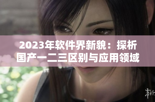 2023年软件界新貌：探析国产一二三区别与应用领域