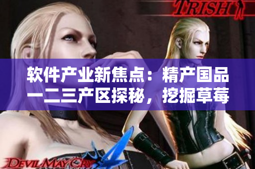 软件产业新焦点：精产国品一二三产区探秘，挖掘草莓般甜美软件合作可能性