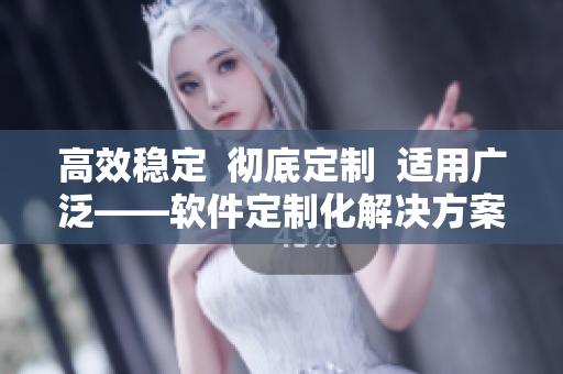 高效稳定  彻底定制  适用广泛——软件定制化解决方案78W78