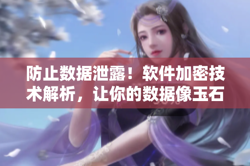 防止数据泄露！软件加密技术解析，让你的数据像玉石一样放心