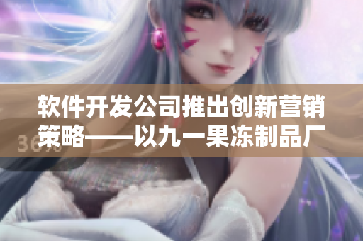 软件开发公司推出创新营销策略——以九一果冻制品厂电视剧《红桃》为案例研究