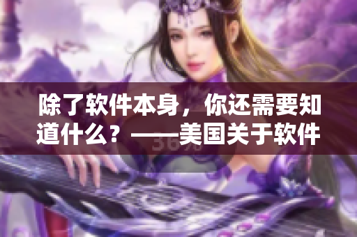 除了软件本身，你还需要知道什么？——美国关于软件未婚夫签证的指南