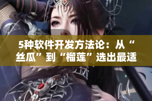 5种软件开发方法论：从“丝瓜”到“榴莲”选出最适合你的