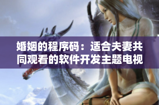 婚姻的程序码：适合夫妻共同观看的软件开发主题电视剧