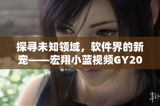 探寻未知领域，软件界的新宠——宏翔小蓝视频GY2022