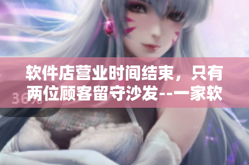 软件店营业时间结束，只有两位顾客留守沙发--一家软件店的故事