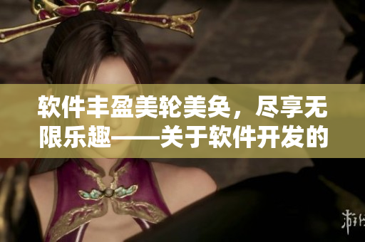软件丰盈美轮美奂，尽享无限乐趣——关于软件开发的探讨