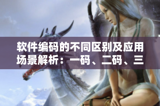 软件编码的不同区别及应用场景解析：一码、二码、三码有何不同？