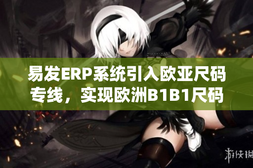 易发ERP系统引入欧亚尺码专线，实现欧洲B1B1尺码定制化管理