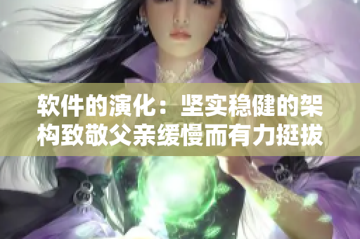 软件的演化：坚实稳健的架构致敬父亲缓慢而有力挺拔的精神