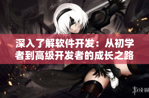 深入了解软件开发：从初学者到高级开发者的成长之路