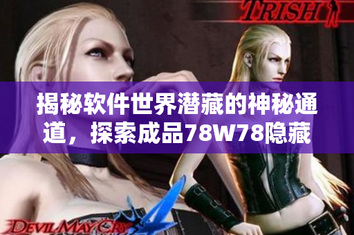 揭秘软件世界潜藏的神秘通道，探索成品78W78隐藏之谜