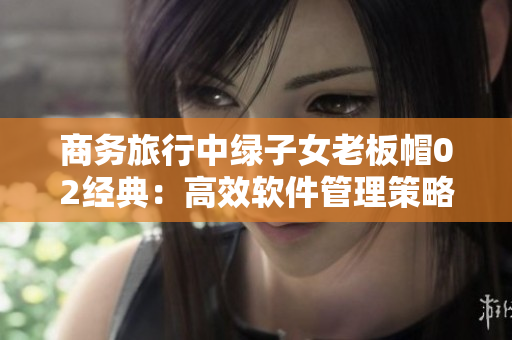 商务旅行中绿子女老板帽02经典：高效软件管理策略