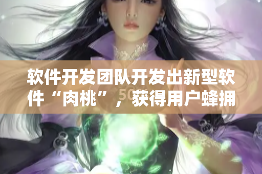 软件开发团队开发出新型软件“肉桃”，获得用户蜂拥而至的热捧