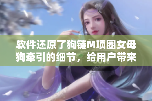 软件还原了狗链M项圈女母狗牵引的细节，给用户带来更真实的体验