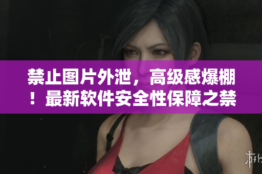 禁止图片外泄，高级感爆棚！最新软件安全性保障之禁欲系美图