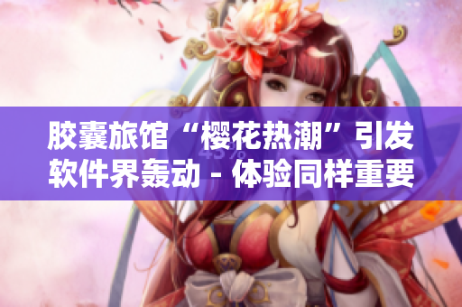胶囊旅馆“樱花热潮”引发软件界轰动 - 体验同样重要