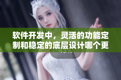 软件开发中，灵活的功能定制和稳定的底层设计哪个更为重要？