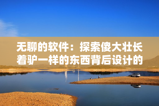 无聊的软件：探索傻大壮长着驴一样的东西背后设计的奥秘