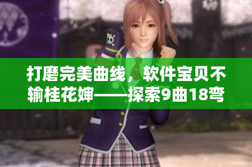 打磨完美曲线，软件宝贝不输桂花婶——探索9曲18弯的软件开发之路